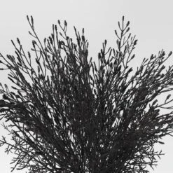 EEK! Deals Store -EEK! Deals Store GUEST 5834dd4b e292 4e7e 86c6 4be244afb3d9