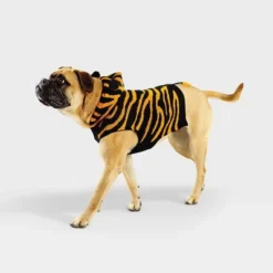 Tiger Halloween Cat And Dog Hoodie - Hyde & EEK! Boutique™ -EEK! Deals Store GUEST 9cf0faa3 50d0 426d b092 1e97106b9c4d