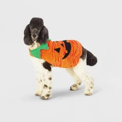 Halloween Plush Pumpkin Dog And Cat Costume - Hyde & EEK! Boutique™ -EEK! Deals Store GUEST b8b04298 8951 4df0 bec6 867f18b24a65